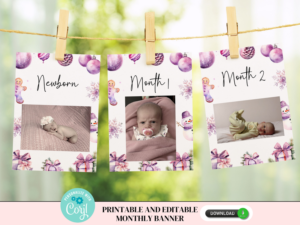 Printable and editable winter one-derland monthly banner