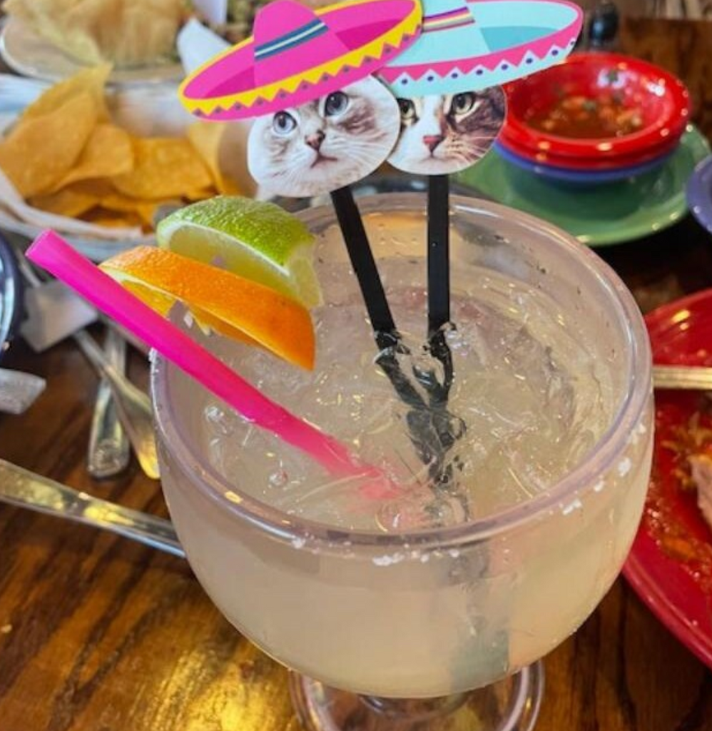 Cats wearing sombreros drink stirrers