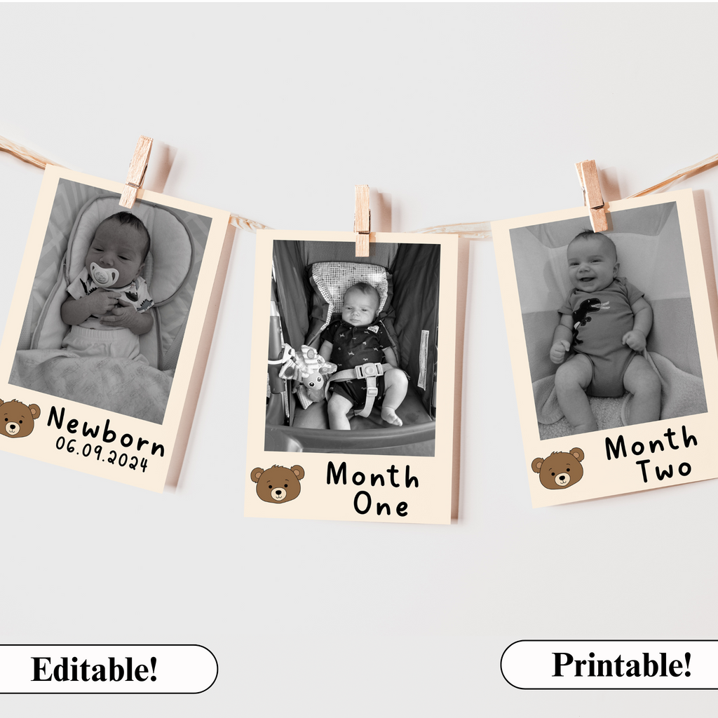 First Year Photo Banner for Bear Birthday Party
