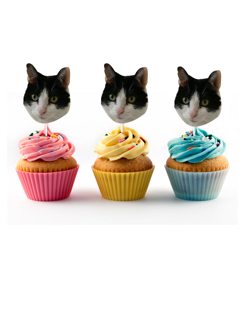 Cat Birthday Cupcake Toppers with Face