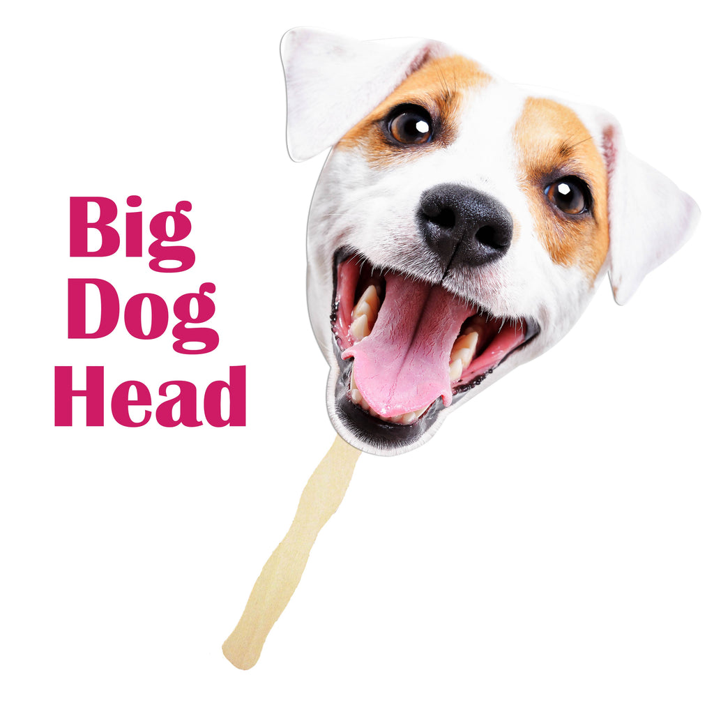 Dog fat head