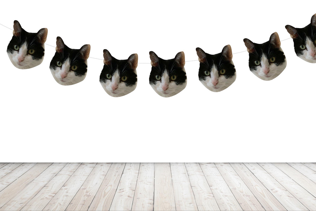 Cat Face Banner