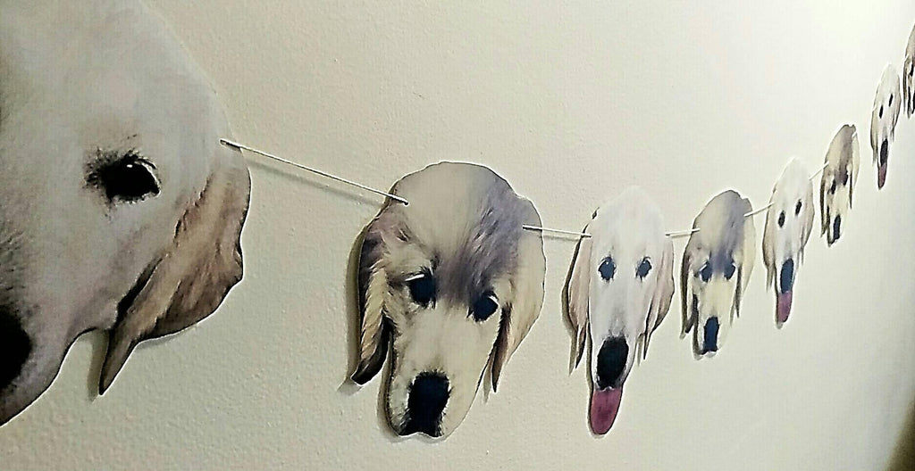Puppy Party Banner