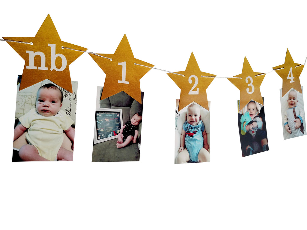 Twinkle Twinkle Little Star Monthly Banner for First Birthday - Garland, Cake Smash, 1st bday